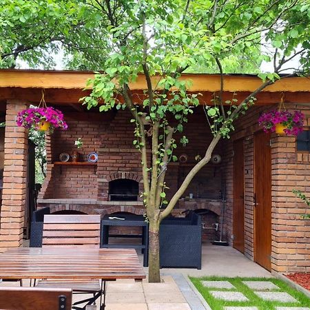 Cozy House With Nice Garden In Heart Of City Center Villa Kolozsvár Kültér fotó