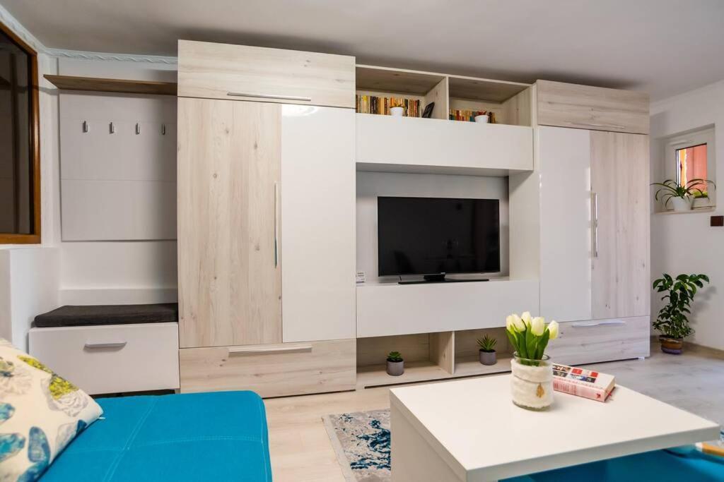 Cozy House With Nice Garden In Heart Of City Center Villa Kolozsvár Kültér fotó