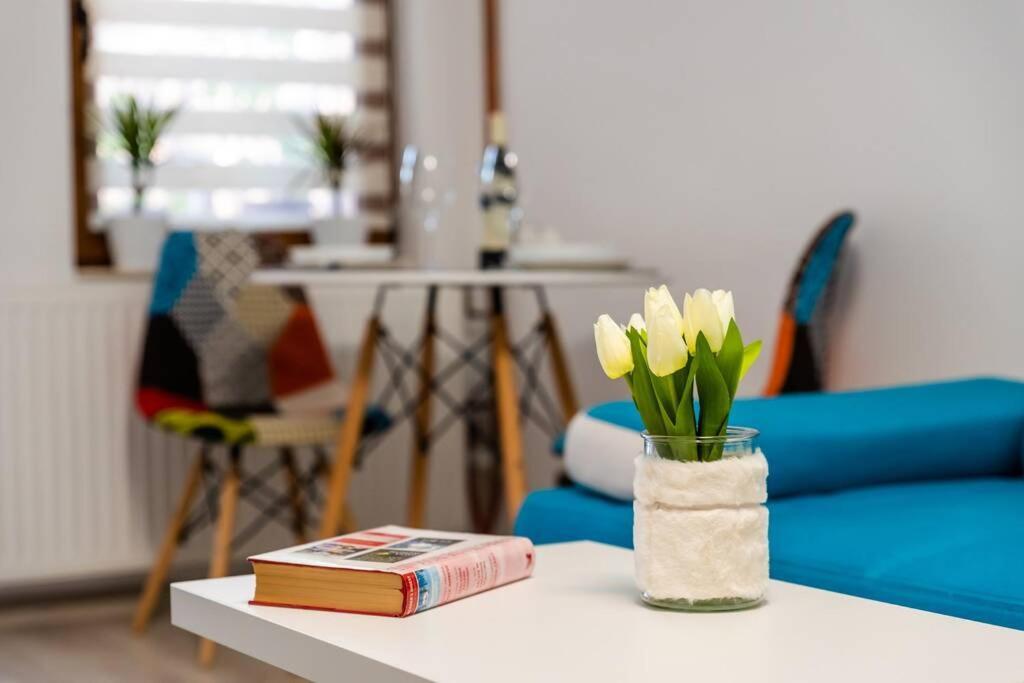 Cozy House With Nice Garden In Heart Of City Center Villa Kolozsvár Kültér fotó