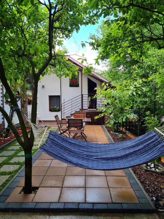 Cozy House With Nice Garden In Heart Of City Center Villa Kolozsvár Kültér fotó