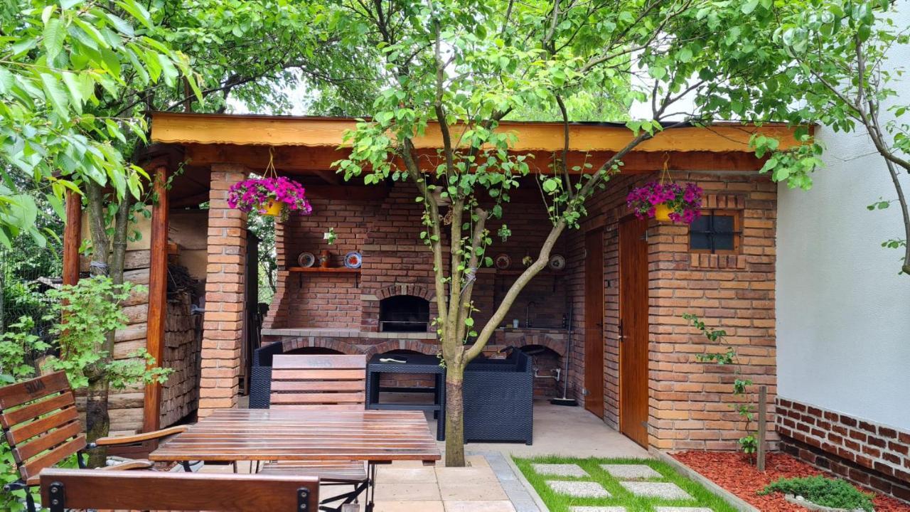 Cozy House With Nice Garden In Heart Of City Center Villa Kolozsvár Kültér fotó